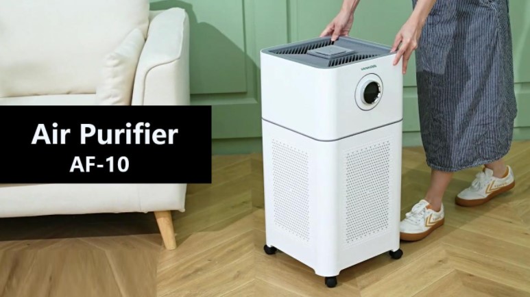 6 Tips for Choosing the Most Effective Air Purifier for Cleaning the Air in Your Home