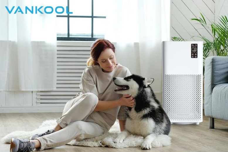 Come on, Learn More About Blueair's Superior Air Purifier Technology!