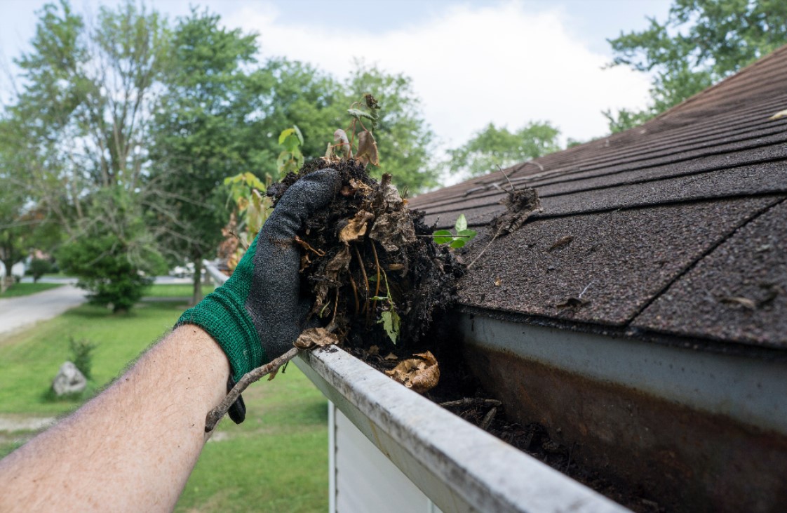 Can a Drainage Gutter System Cause Damp?