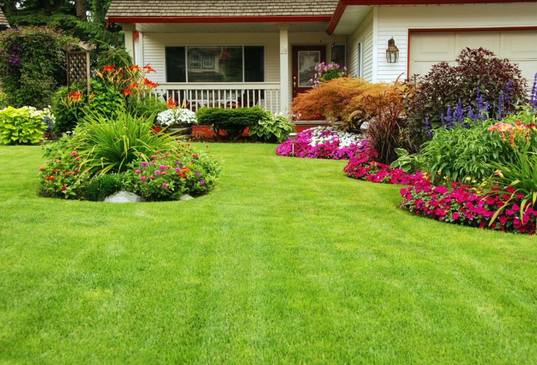 Designing a Low-Maintenance Garden – Tips for a Beautiful and Easy-to-Care-for Landscape